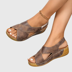 Terra Brown