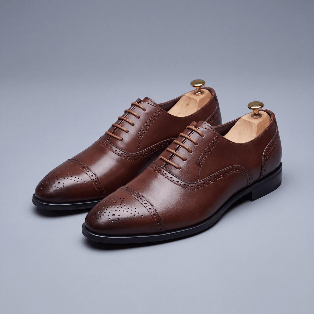 Oxford | Royal Brogue